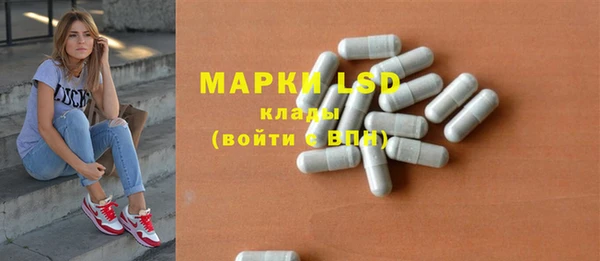 сатива Аркадак