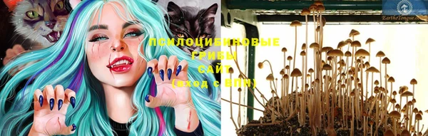 таблы Алзамай
