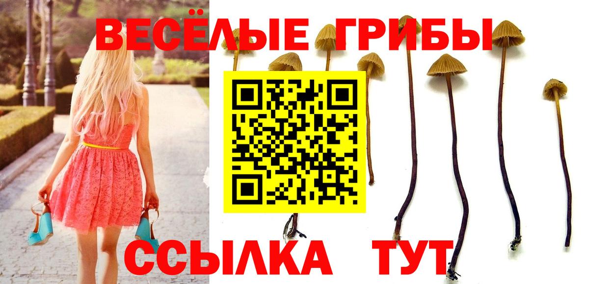 Псилоцибиновые грибы MAGIC MUSHROOMS Ефремов